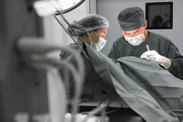 两个兽医外科手术室 — 图库照片
