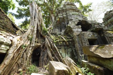 Angkor Wat Tapınağı