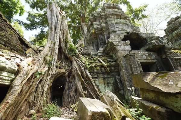 Angkor Wat Tapınağı