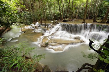 Yeşil ormanda güzel bir şelale 