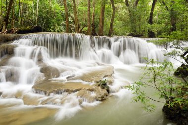 Yeşil ormanda güzel bir şelale 