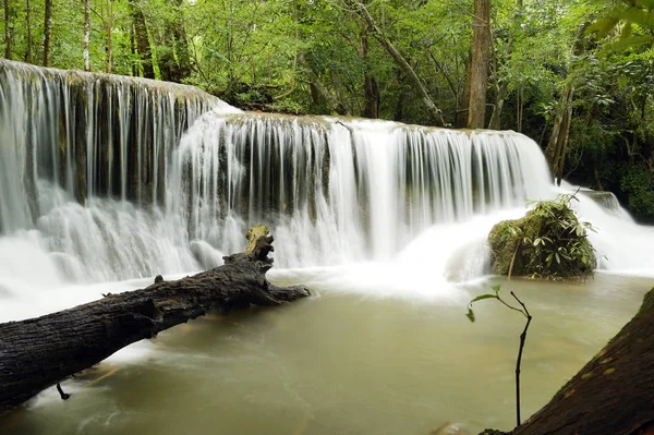 Yeşil ormanda güzel bir şelale 