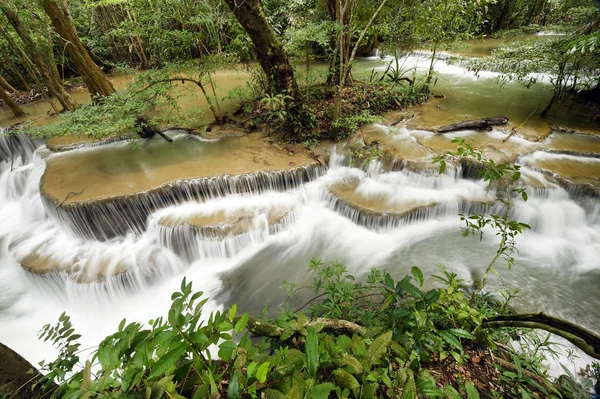 Yeşil ormanda güzel bir şelale 