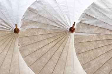 Tay Kuzey şemsiye için arka plan el yapımı