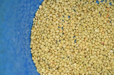 arka plan için kızartma önce taze kahve çekirdekleri