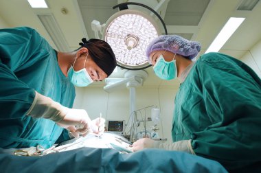 iki veteriner Cerrahi operasyon odasında
