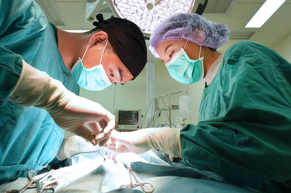 Deux Chirurgie Vétérinaire Salle Opération — Photo