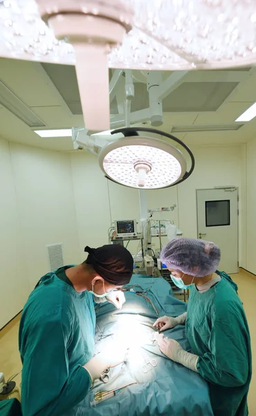 Twee Van Dierenarts Chirurgie Operatiekwartier — Stockfoto
