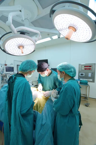 Groupe Chirurgie Vétérinaire Salle Opération — Photo