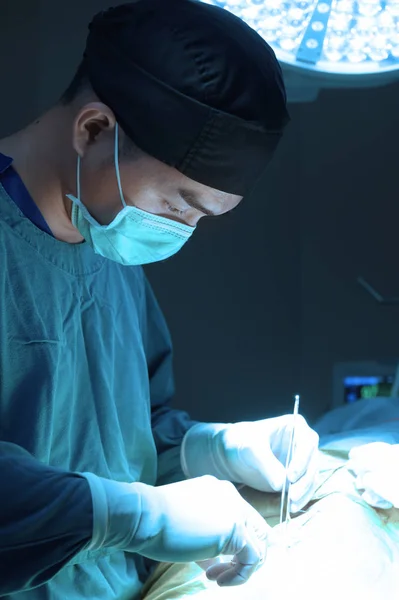 Ветеринарні Хірурги Операційній Кімнаті Беруть Художнім Освітленням Синім Фільтром — стокове фото