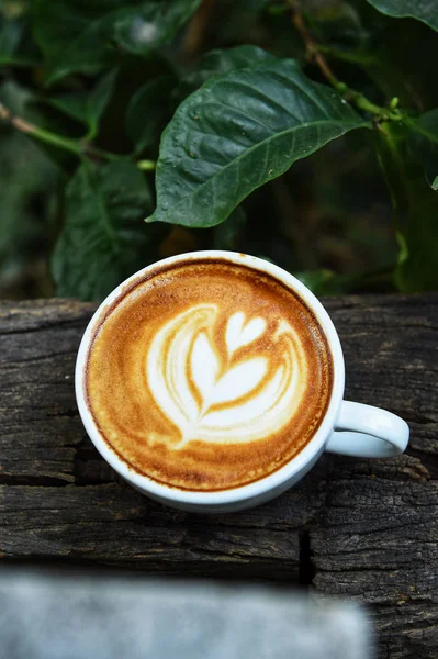 Csésze Kávé Fából Készült Háttér Latte Art — Stock Fotó