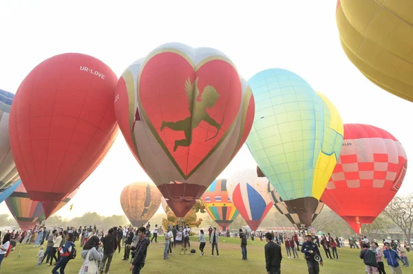 Chiang Rai Thaïlande Février 2018 Singha Park International Balloon Fiesta — Photo