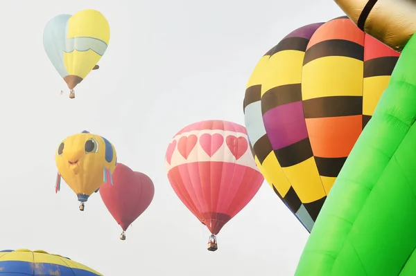 Chiang Rai Thaïlande Février 2018 Singha Park International Balloon Fiesta — Photo