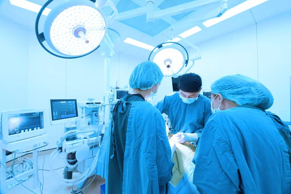 Group Veterinarian Surgery Operation Room Take Art Lighting Blue Filter — Stock Photo, Image