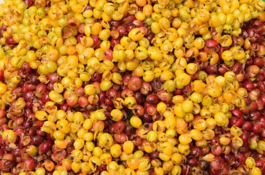  arka plan için taze kahve çekirdekleri