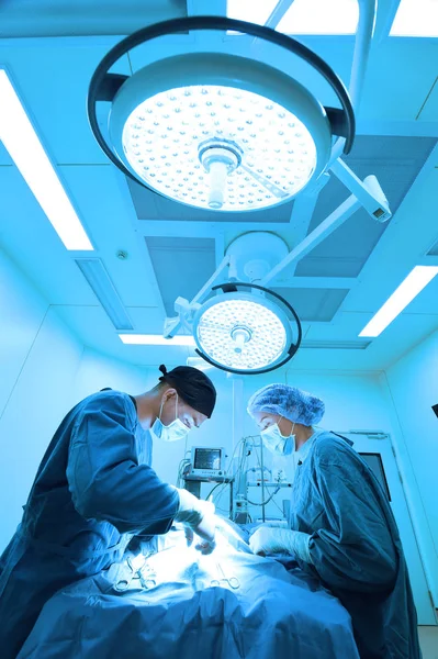 Dwa Zabiegu Lekarz Weterynarii Pracy Pomieszczenia Sztuki Oświetlenie Niebieski Filtr — Zdjęcie stockowe