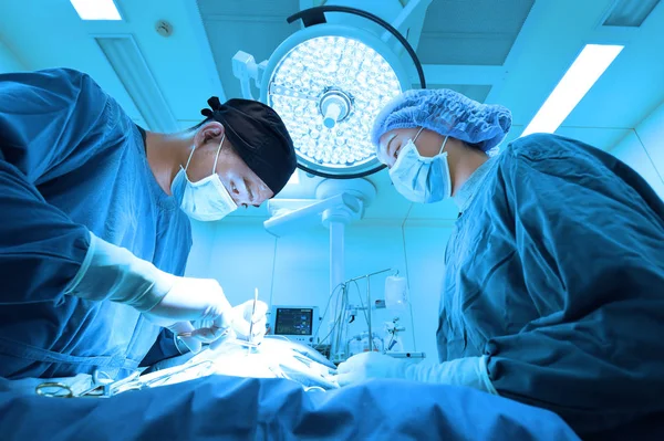 Dos Cirugía Veterinaria Sala Operaciones Tomar Con Iluminación Arte Filtro — Foto de Stock