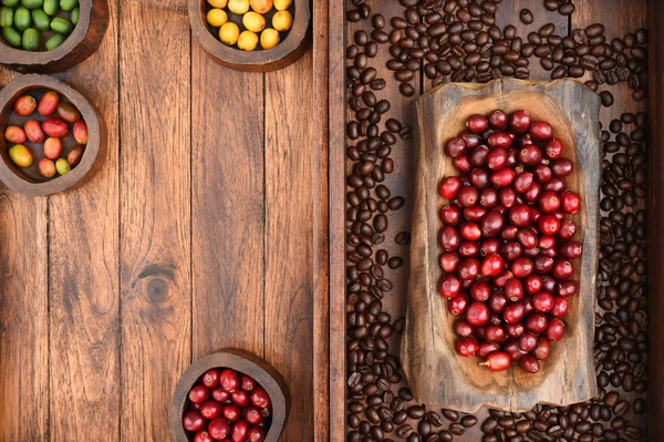 Coffee Beans Fresh Berries Beans Wooden Background — Stock Photo, Image