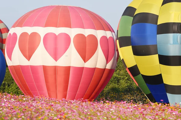 Chiang Rai Thailand Februari 2018 Singha Park Internationella Balloon Fiesta — Stockfoto