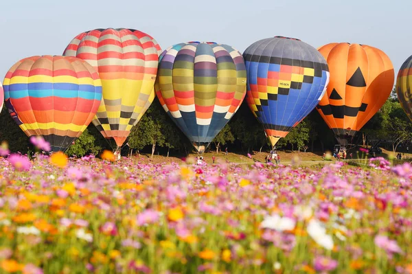 Chiang Rai Tajlandia Luty 2018 Singha Park International Balonowa Fiesta — Zdjęcie stockowe