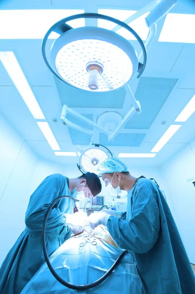 Two of veterinarian surgery in operation room take with art lighting and blue filter