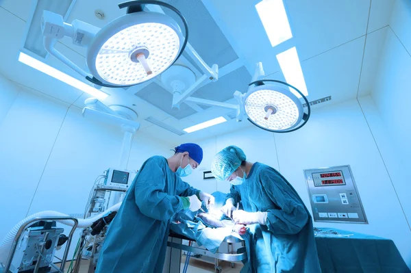 Dva Veterinární Chirurgie Operační Místnosti Vezměte Umění Osvětlení Modrý Filtr — Stock fotografie