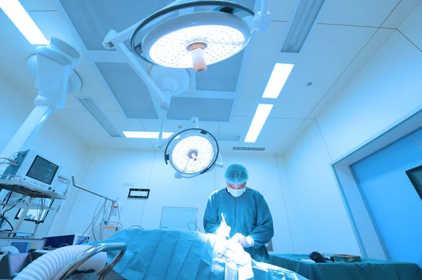 Cirurgia Veterinária Sala Operação Tomar Com Iluminação Arte Filtro Azul — Fotografia de Stock