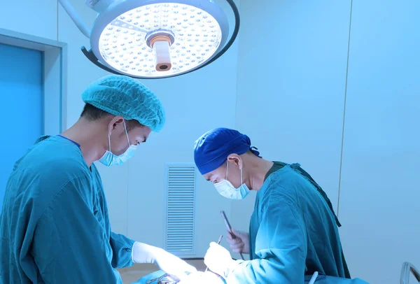 Twee Van Dierenarts Chirurgie Operatie Kamer Nemen Met Kunst Verlichting — Stockfoto
