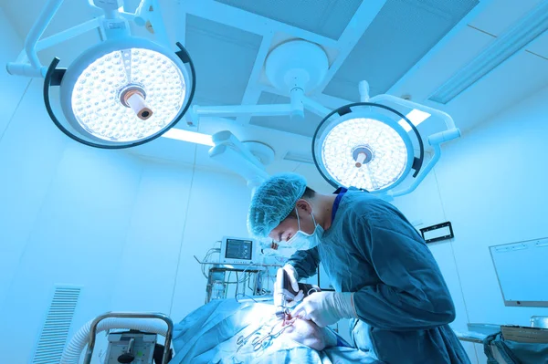 Dierenarts Chirurgie Operatie Kamer Meenemen Aan Kunst Verlichting Blauw Filter — Stockfoto