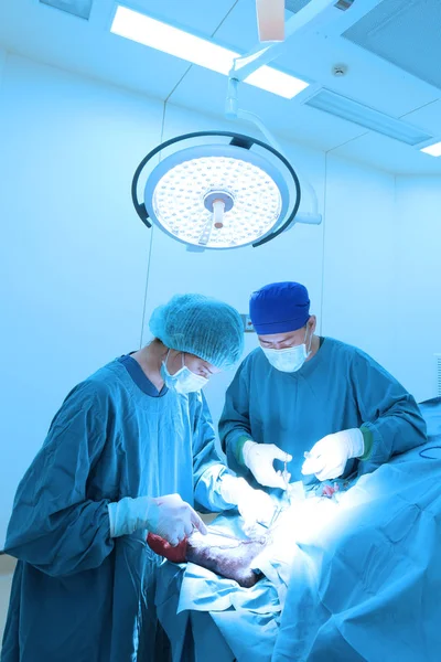 Zwei Der Tierarztpraxen Operationssaal Mit Kunstbeleuchtung Und Blauem Filter — Stockfoto