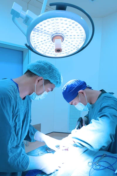 Két Állatorvos Műtét Művelet Szobában Magával Művészet Világítás Kék Szűrő — Stock Fotó