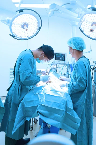 Два Ветеринара Хирургии Операционной Взять Художественным Освещением Синий Фильтр — стоковое фото