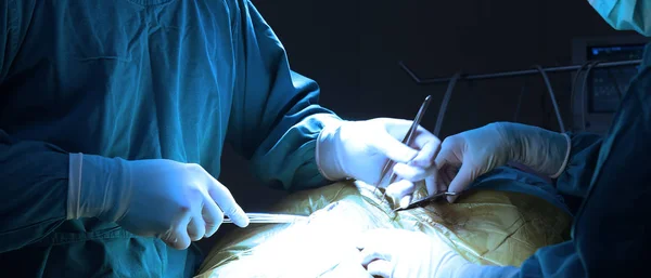 Deux Chirurgie Vétérinaire Salle Opération Prendre Avec Éclairage Art Filtre — Photo