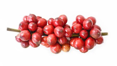 Beyaz arka planda izole edilmiş taze kahve çekirdeklerini kapatın.