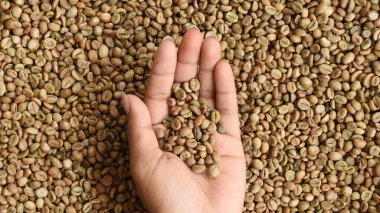 Yeşil kahve çekirdeklerini kapatın.   