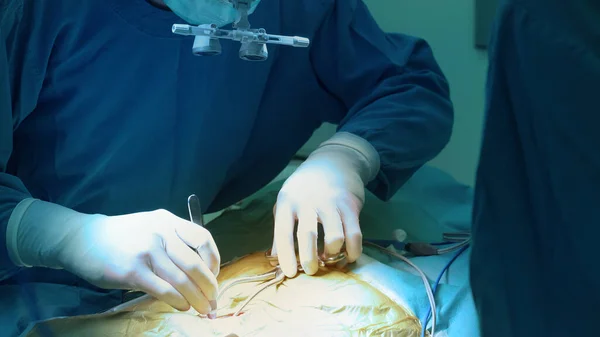 Cirugía Veterinaria Sala Operaciones —  Fotos de Stock