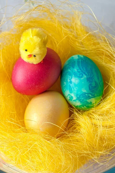 Sarı arka planda Paskalya yumurtaları üzerinde bir tavuk figürü.