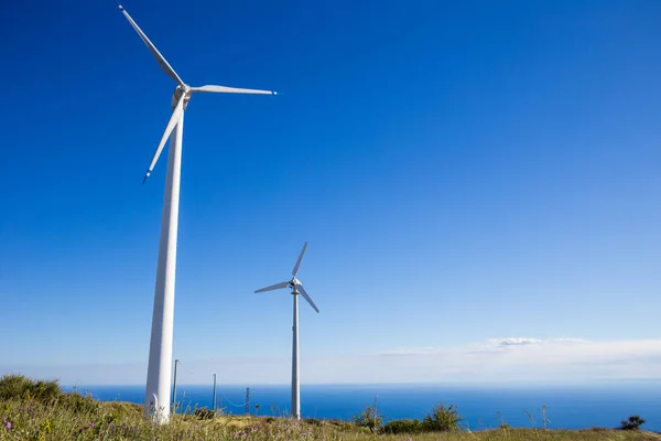 Campo Con Molinos Viento Concepto Energía Ecológica — Foto de Stock