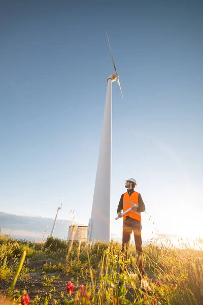 Ingeniero Joven Sombrero Duro Trabajando Campo Con Molinos Viento Atardecer — Foto de Stock