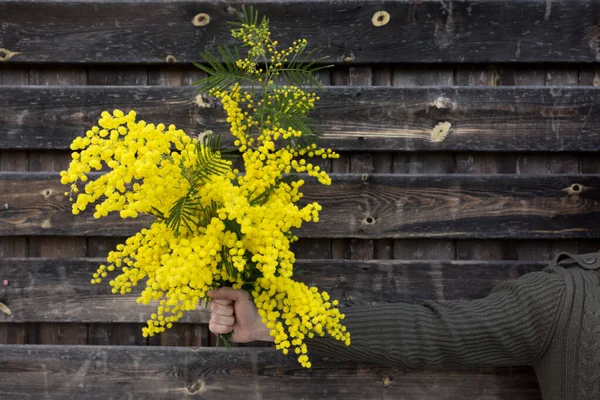 Portrait Person Posing Yellow Mimosa Flowers Blurred Natural Background — Stock Photo, Image