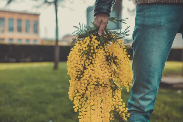 Portrait Personne Posant Avec Des Fleurs Mimosa Jaune Sur Fond — Photo