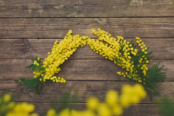 Fleurs Mimosa Jaune Vif Sur Fond Naturel Flou — Photo