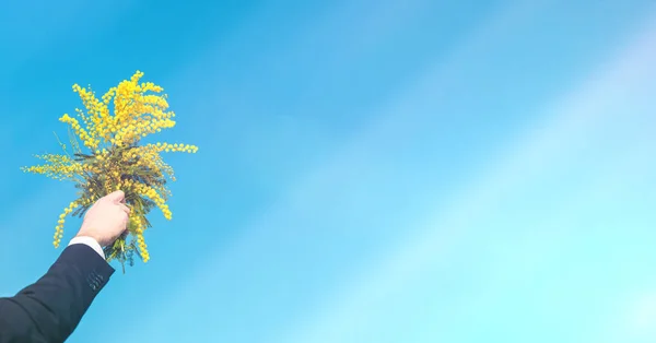 Portrait Man Holding Yellow Mimosa Flowers Blue Sky Background — Stok Foto