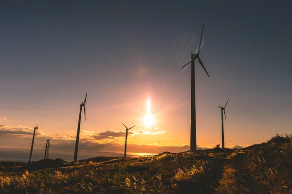 Field with windmills, eco energy concept.