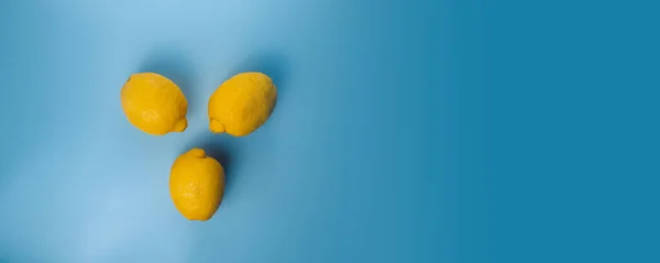 Tiga Lemon Pada Latar Belakang Ruang Fotokopi Biru — Stok Foto