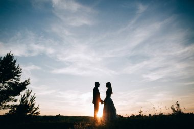 şehvetli gelin ve damat, düğün günü