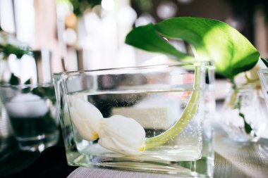 düğün yemeği için restoran olarak dekorasyon 