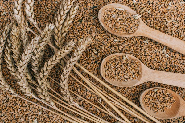 Orecchie di Grano e cucchiaio di Grano sulla tavola di legno — Foto Stock