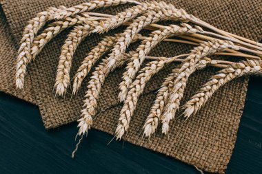 Tahta zemin üzerinde olgun buğday dalları. Sağlıklı yemek.