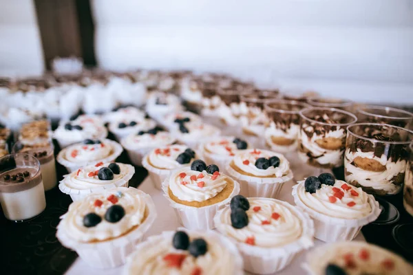 Kremalı Taze Yaban Mersinli Kekler Partide Çikolata Tabağında — Stok fotoğraf